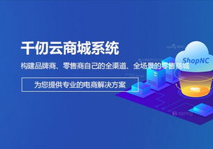 軟件產品與基礎軟件服務 驅動數字化轉型的雙引擎